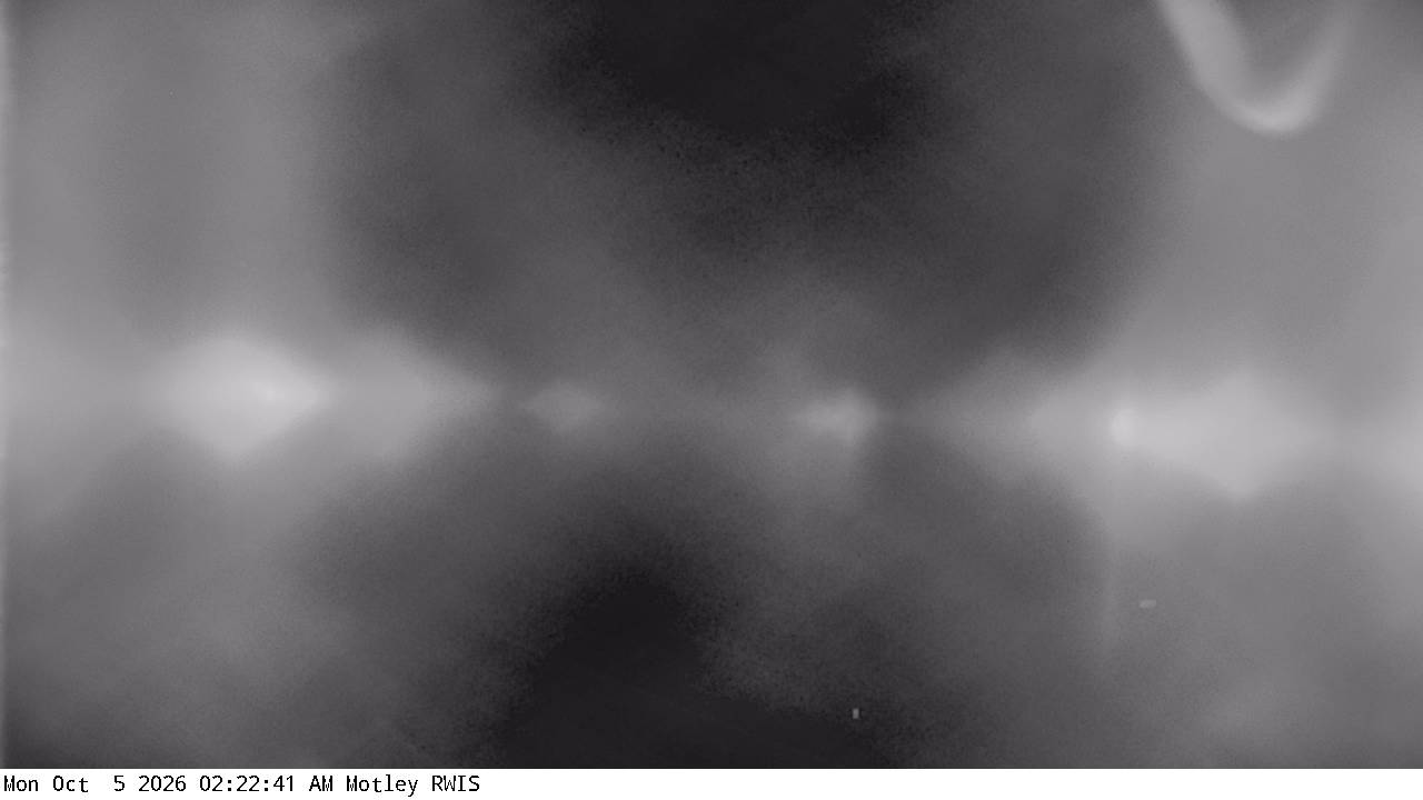 T.H.210 (Motley - MP 101.0) View 5 live camera view