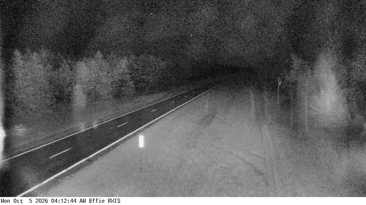 T.H.1 (Effie - MP 194) View 1 live camera view