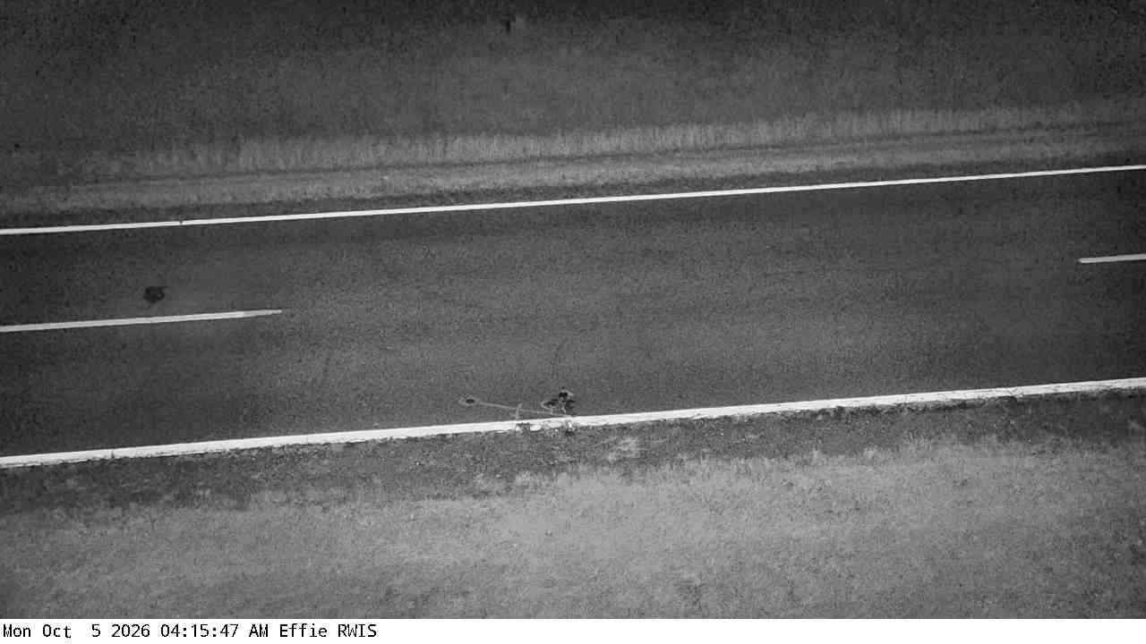 T.H.1 (Effie - MP 194) View 2 live camera view