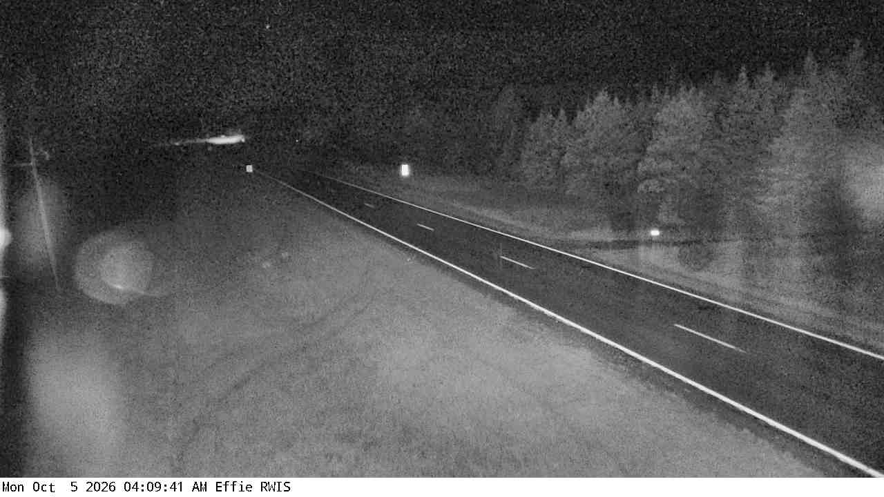 T.H.1 (Effie - MP 194) View 3 live camera view