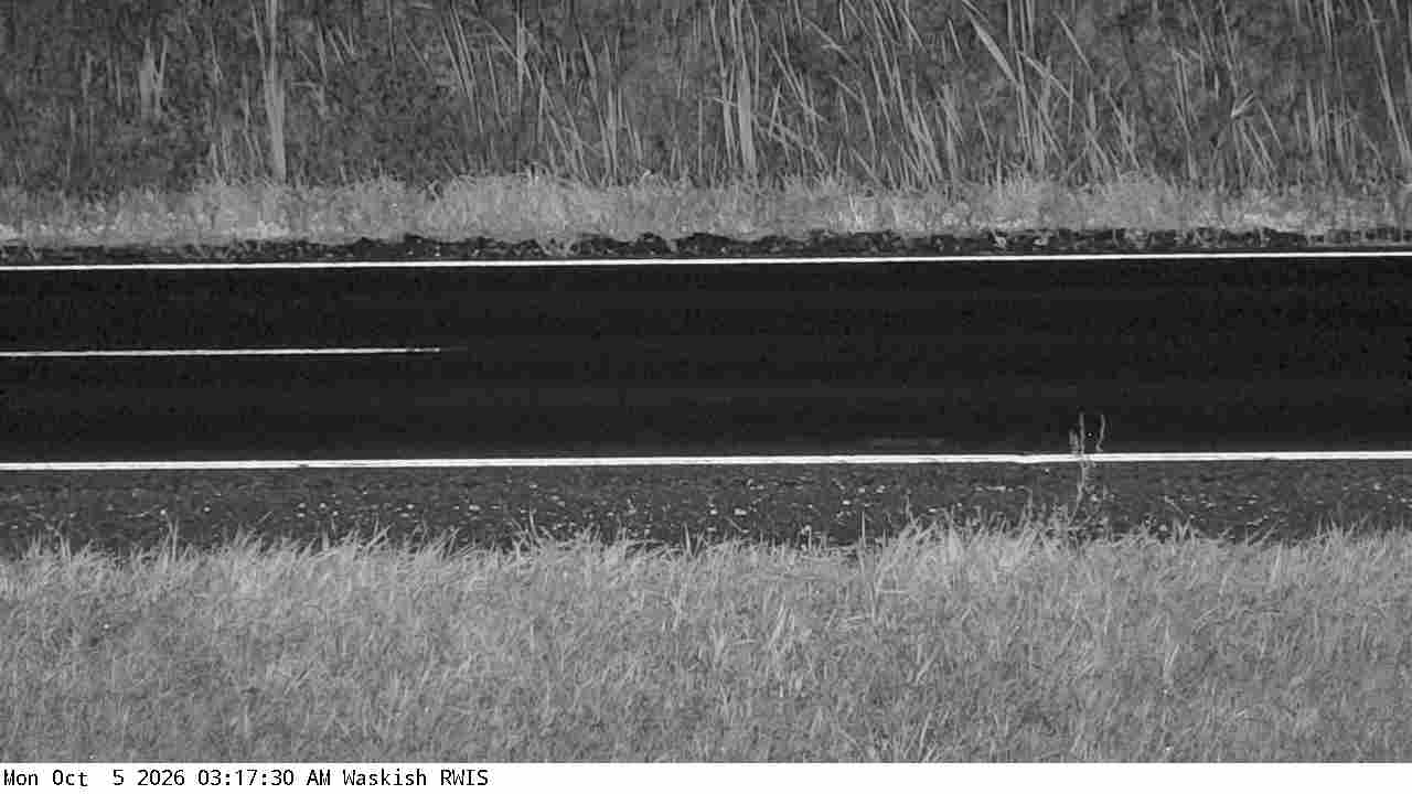 T.H.72 (Waskish - MP 40) View 1 live camera view