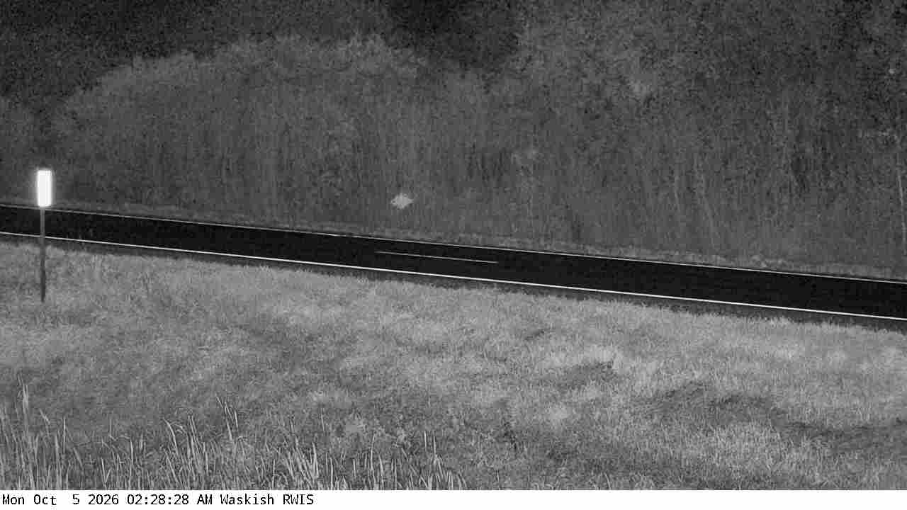 T.H.72 (Waskish - MP 40) View 3 live camera view