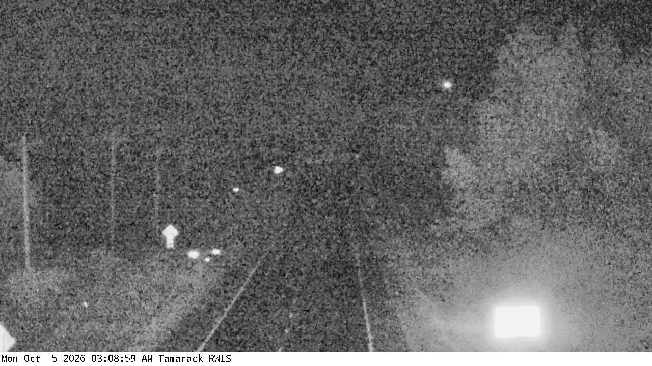 T.H.210 (Tamarack - MP 186.3) View 1 live camera view