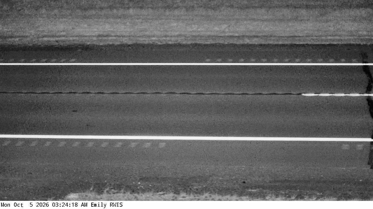 T.H.6 (Emily - MP 29) View 2 live camera view