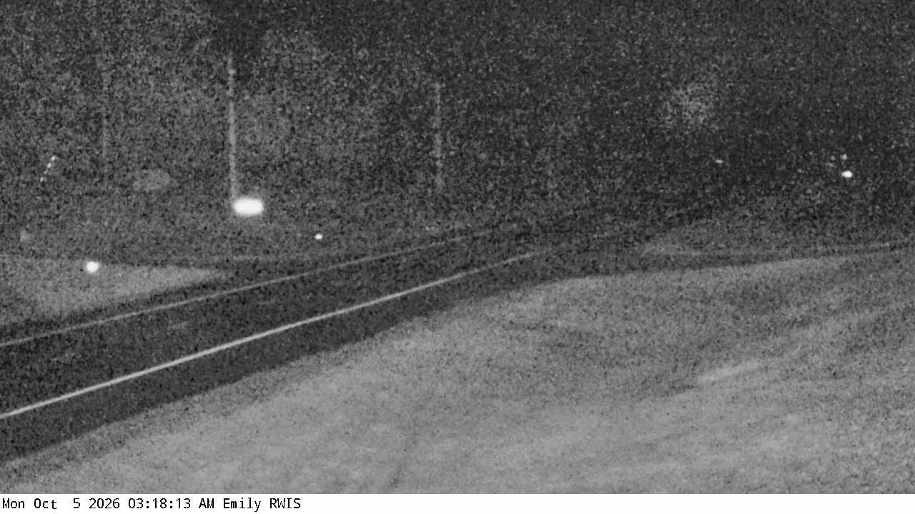 T.H.6 (Emily - MP 29) View 3 live camera view