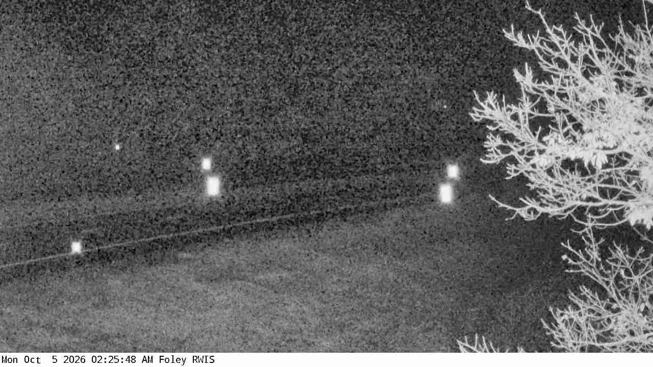 T.H.23 (Foley - MP 214) View 4 live camera view