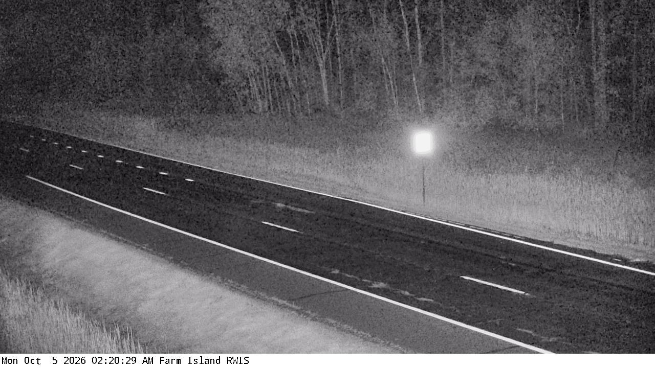 U.S.169 (Farm Island - MP 245.4) View 3 live camera view