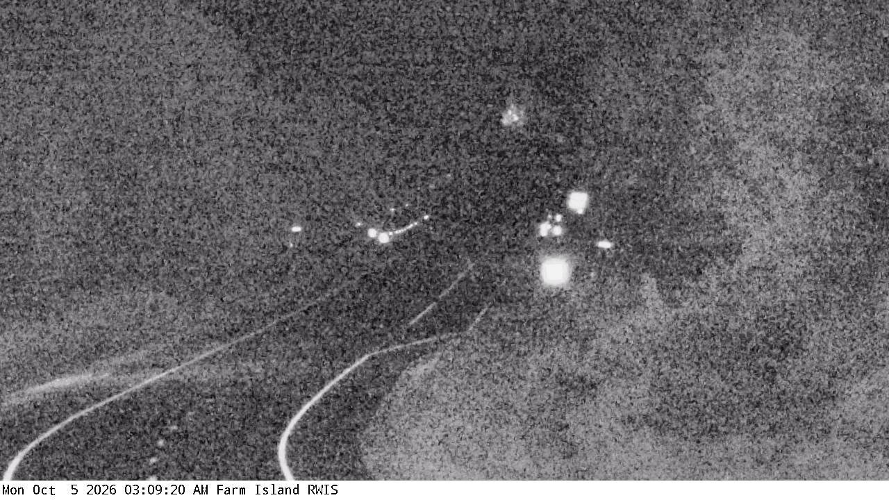 U.S.169 (Farm Island - MP 245.4) View 4 live camera view