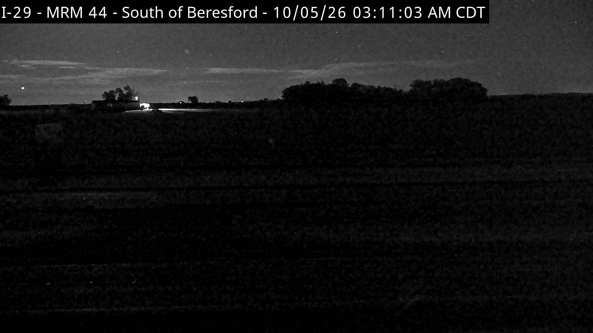 Beresford live camera view