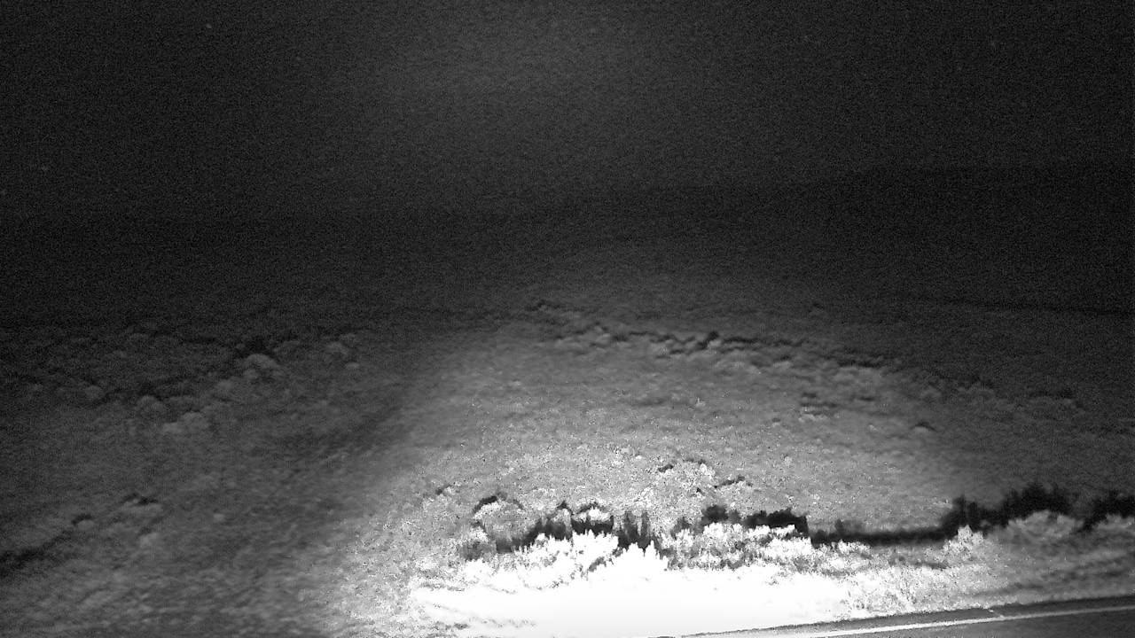 MT 24 McGuire Creek (West) live camera view