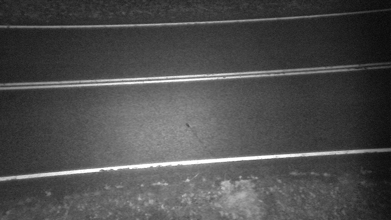 S-253 Sheep Mountain (Roadway) live camera view