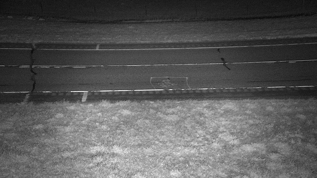 MT 59 Coalwood (Roadway) live camera view