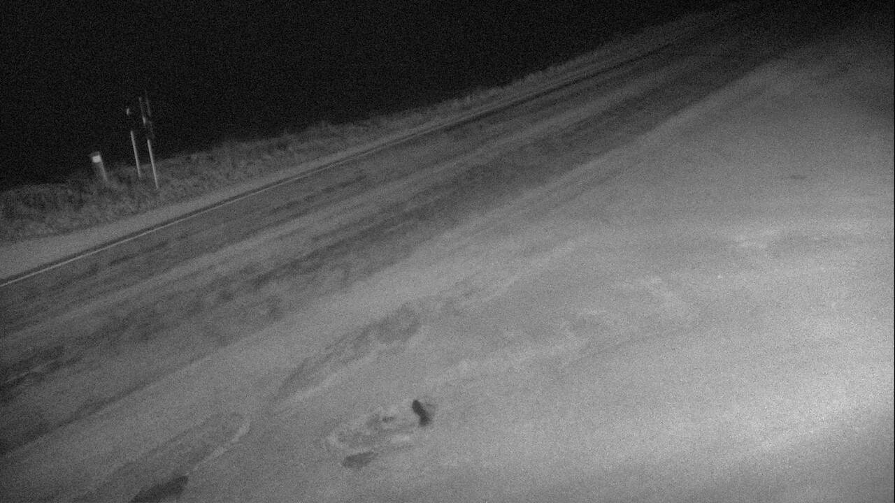 MT 1 Georgetown Lake (Roadway) live camera view