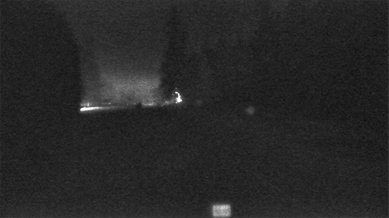 MT 200 Trout Creek (West) live camera view