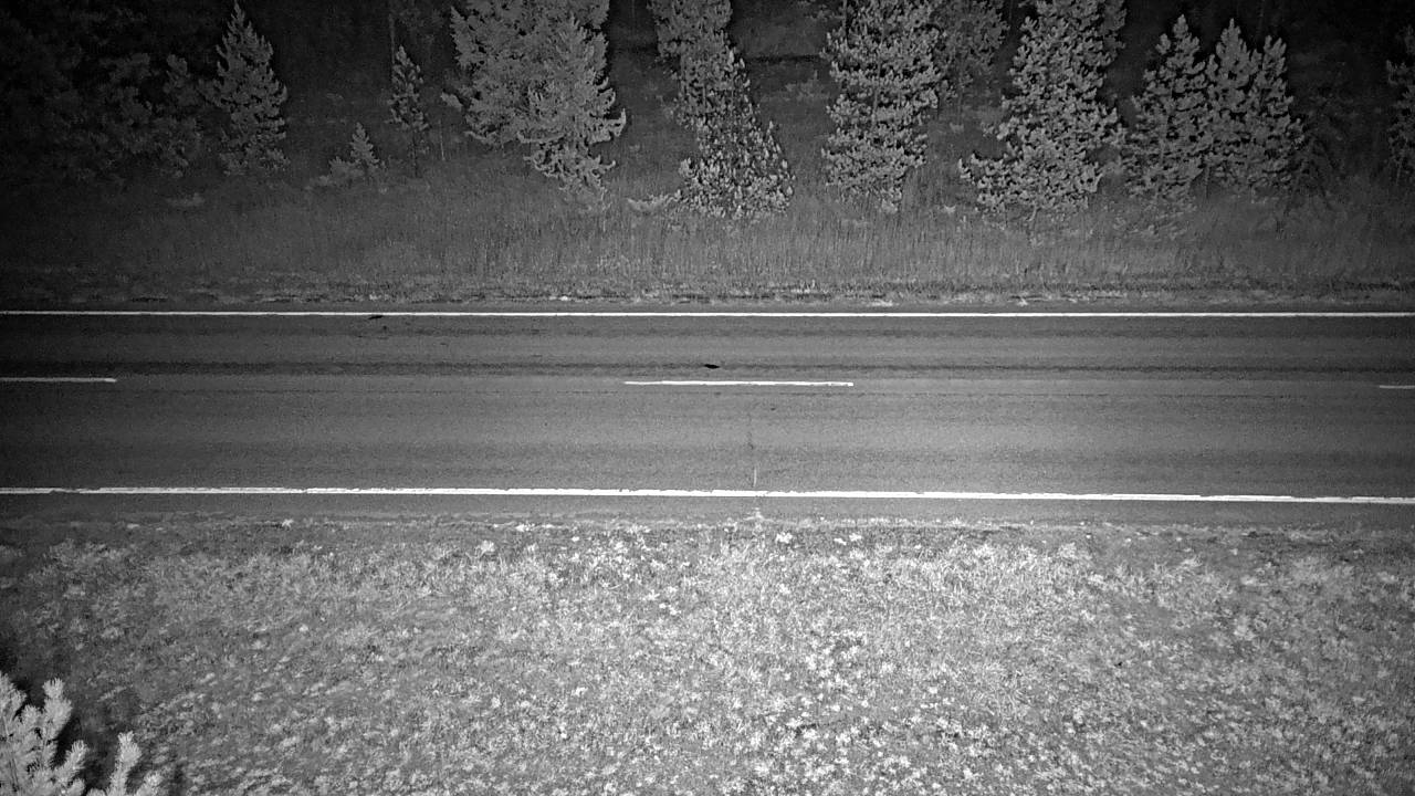 MT 83 Swan Lake (Roadway) live camera view