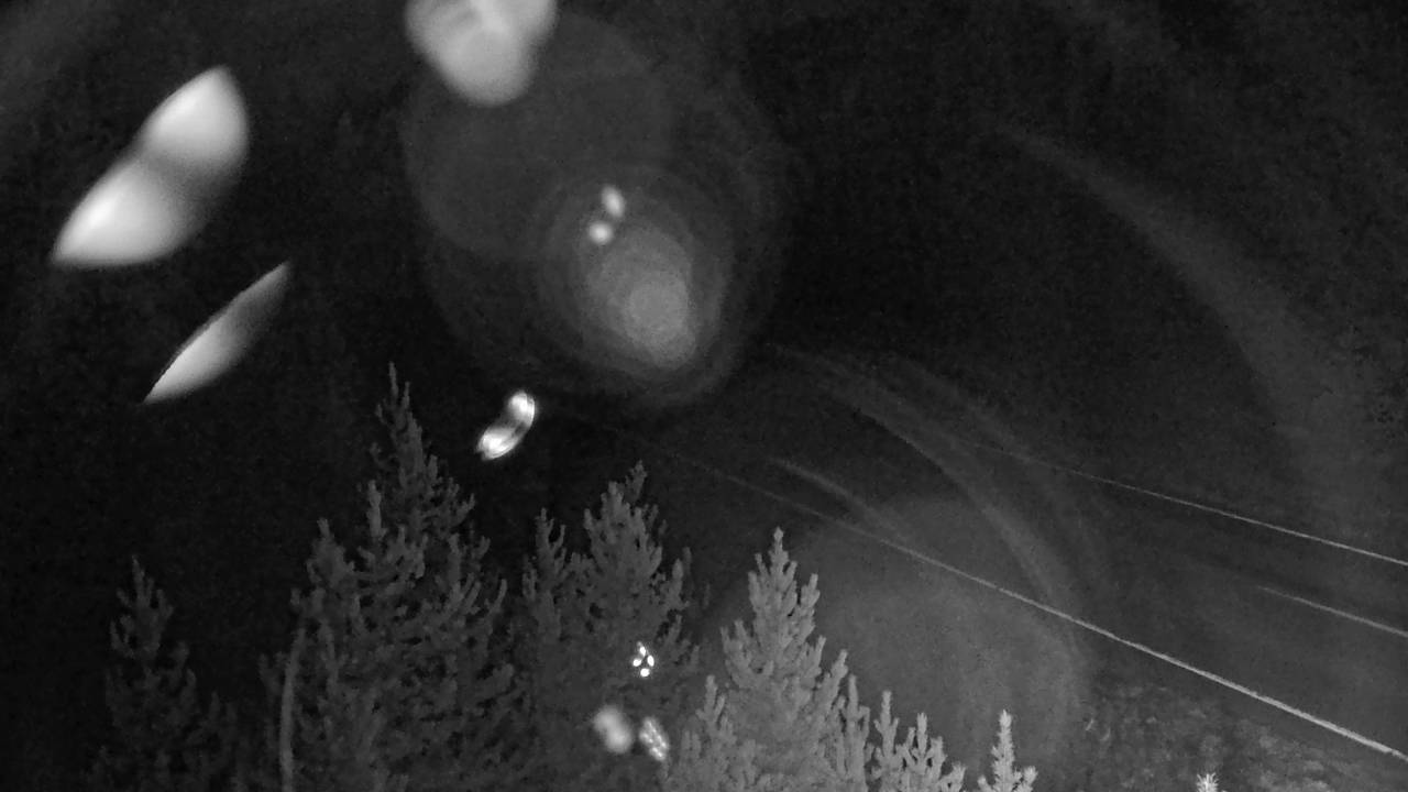 MT 83 Swan Lake (North) live camera view
