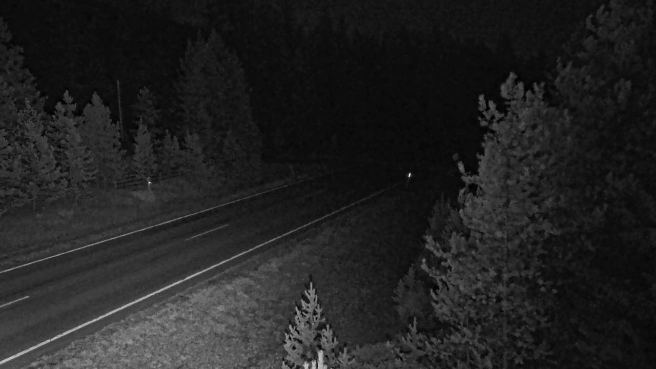 MT 83 Swan Lake (South) live camera view