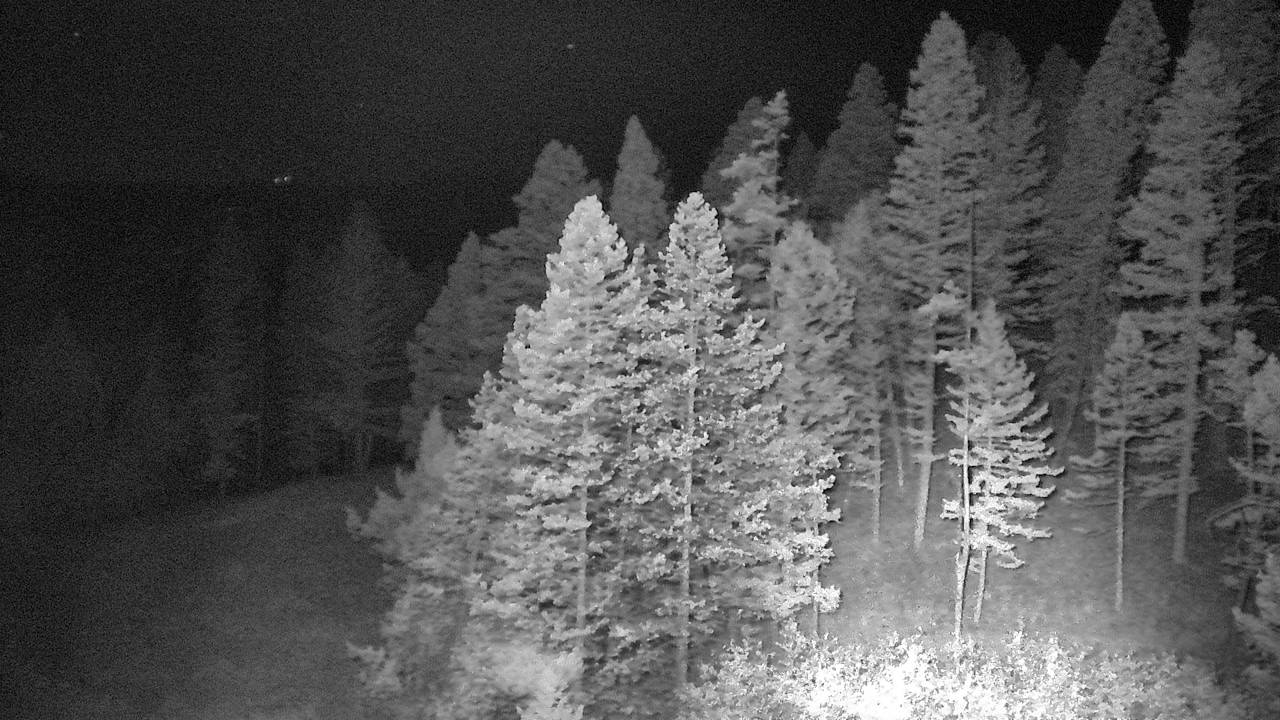 MT 86 Bridger Canyon (West Horizon) live camera view