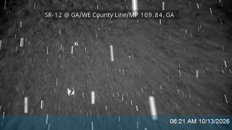 SR-12 @ GA/WE County Line / MP 109.84, GA live camera view