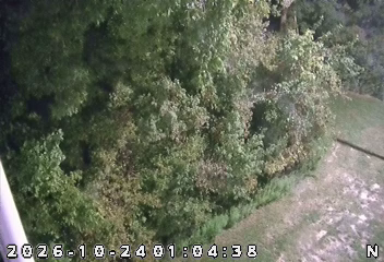 I-64 EB @ Black River rest area (Camera 3) live camera view