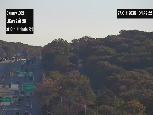 495 Eastbound at Nichols Road live camera view
