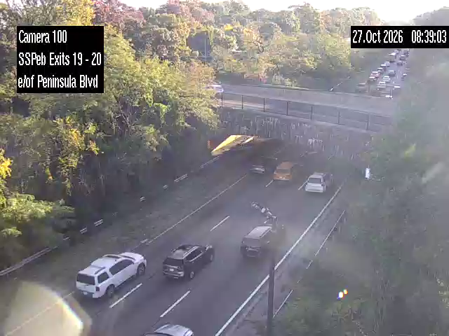 SSP East of Exit 19 - North Village Ave. live camera view