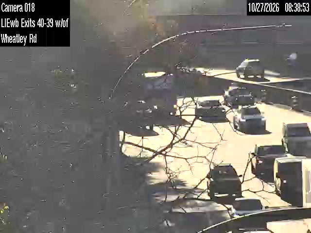 I-495 at Old Westbury Rd live camera view