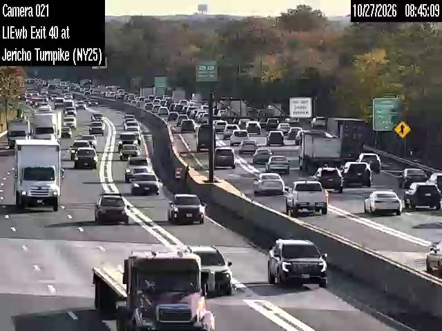 I-495 at Jericho Tpke live camera view