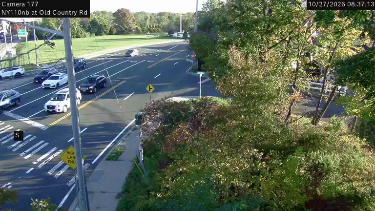 110 at Old Country Rd live camera view