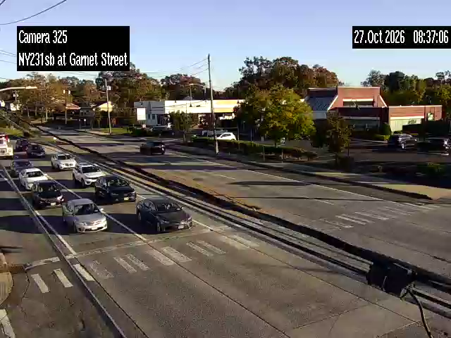 NY231 at Garnet Street live camera view