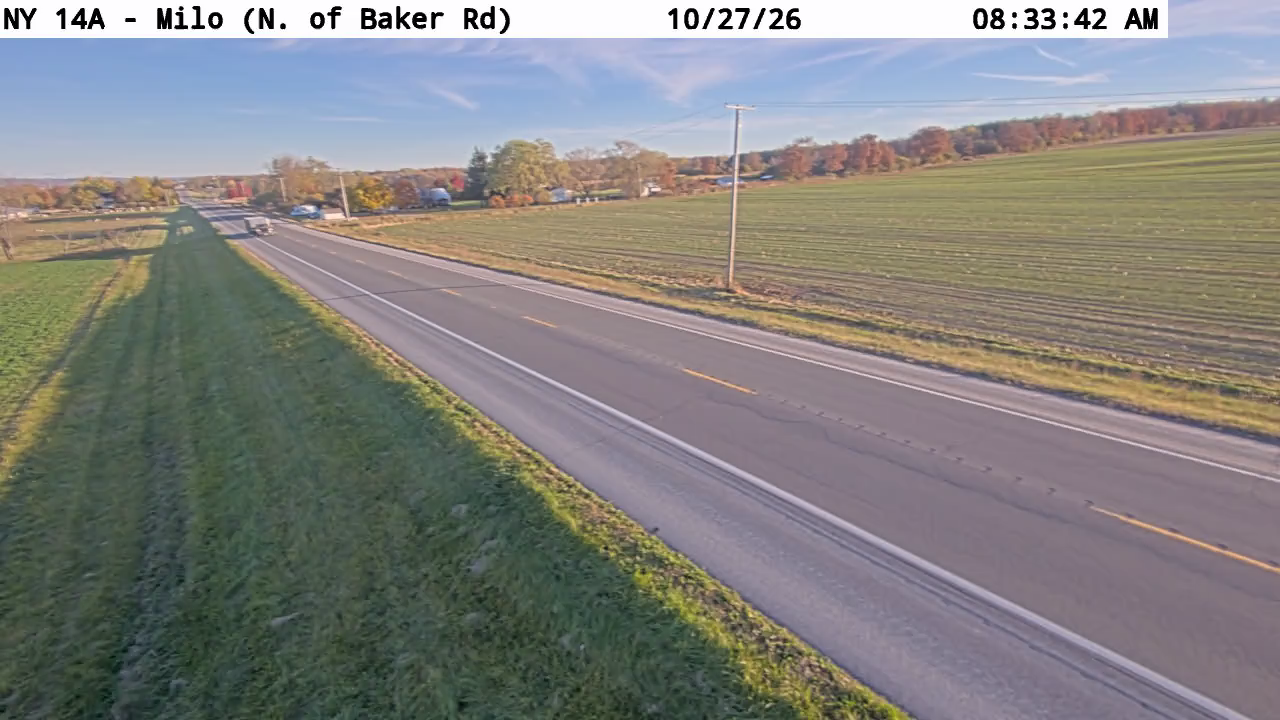 NY 14A - Milo live camera view