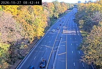 Webster Ave @ Nereid Ave live camera view