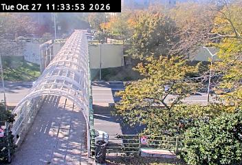 8 Ave @ 18 St live camera view