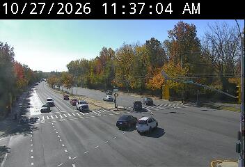 Richmond Ave @ Forest Hills Rd live camera view