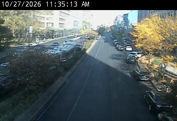 Adams St @ Willoughby St live camera view