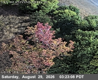 TV919 -- SR-85 : Stevens Creek Blvd live camera view